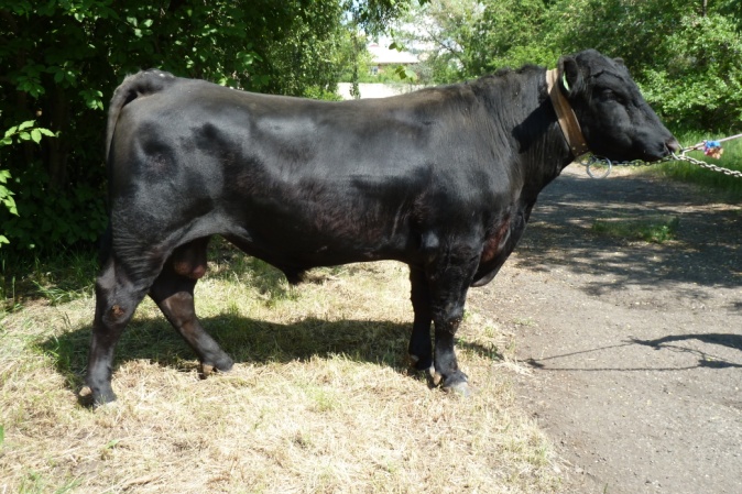 ПИОНЕР 65053 ET КСА-4